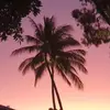 bronwynsimpson79 - @bronwynsimpson79 - TikTok