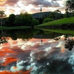 Bronwyn Sutton - Facebook