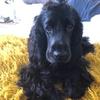 bronwynnsutton - @bronwynnsutton - TikTok
