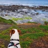bronwynwarne - @bronwynwarne - TikTok