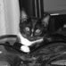 Bronwyn Wright - Facebook
