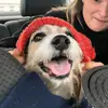 Bronwyn Wright - @bronwonked - TikTok