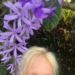 Bronwyn Wright - @cclf98021315 - Instagram
