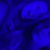 brooke - @brookebaker80 - TikTok