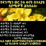 Brook Belay Beza - @bezabrook - Instagram