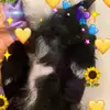 Brook Brooks! - @brooklyn._.theoreo - TikTok