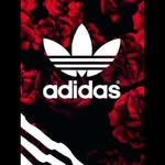 Brook Bush - @brookbush2 - Instagram
