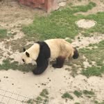 Brook Chen - @brookchen35 - Instagram