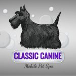 Brook Owen - @classiccaninespa - Instagram