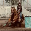 Brook Parker - @brook_trout_ - TikTok