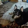 brookpatterson6 - @brook.patterson5 - TikTok