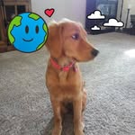 Brooks Paulsen - @brooks.paulsen - Instagram