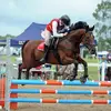 brooke | equestrian 🪷🌟🤍 - @brookerobertson.sj - TikTok