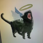 Brook Scott - @stackedphrogs - Instagram