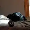 Pat Brookshaw - @pat.brookshaw - TikTok