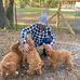 Brooks Sherman - Facebook