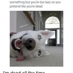 Like_Whatever123 - @brookesimms88 - Instagram