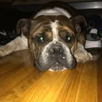 Max Brookstein - @max_brookstein - Instagram