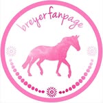 Brook Stone Stables - @breyerfanpage - Instagram