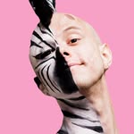 BROOK TATE / DEBRA THE ZEBRA - @brooktate - Instagram