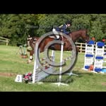 Brook Walker - @brookwalker_eventing - Instagram