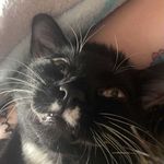 Brook Wells - @barnie2kewl - Instagram