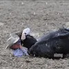 brooks_wood43 - @brooks_wood43 - TikTok