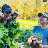 Brookwood Community Farm - @brookwood_farm - TikTok