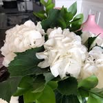 B.HomeAndCo - @brookeacton15 - Instagram