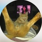 brooke allred allegg - @brookeallegg - Instagram
