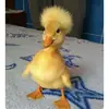 brooke - @brooke.andersen3 - TikTok