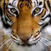 Brooke Applegate - Facebook