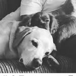 Brooke And Arthur Bateman - @brooke_arthur_adventures - Instagram