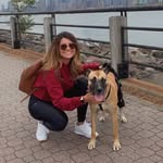 Brooke & August - @_auggie_doggie_and_me___997__8 - Instagram