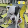 brookeautry - @brookeautry - TikTok