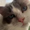 Brooke.backuo - @brooke.backuo - TikTok