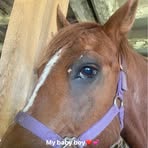 Brooke Ball - Facebook