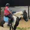 Brooke Bedingfield - @brooke.bedingfield.18 - TikTok