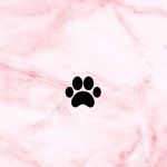 Brooke Bickerstaff - @cutie_brookie2021 - Instagram
