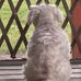 Brooke Bowen - Facebook