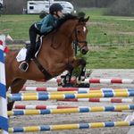 Brooke Bowen - @bbrooke.eq - Instagram