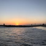 Brooke Bowyer - @brookebowyermarinebio - Instagram