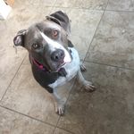 Brooke Casebolt - @brookecasebolt - Instagram