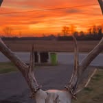Brooke - @brookecrumpler14 - Instagram