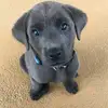 brookecrump080608 - @brookecrump080608 - TikTok