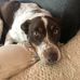 Brooke Dillon - Facebook