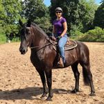 Brooke Dooley - @drdooleydvm - Instagram