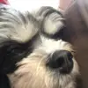 Brooke Dunlap - @roadt10kwithnovids - TikTok