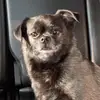 Brooke Haack - @brooke.haack - TikTok