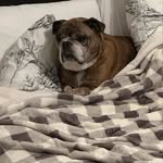 Brooke - @brookehaug2273 - Instagram
